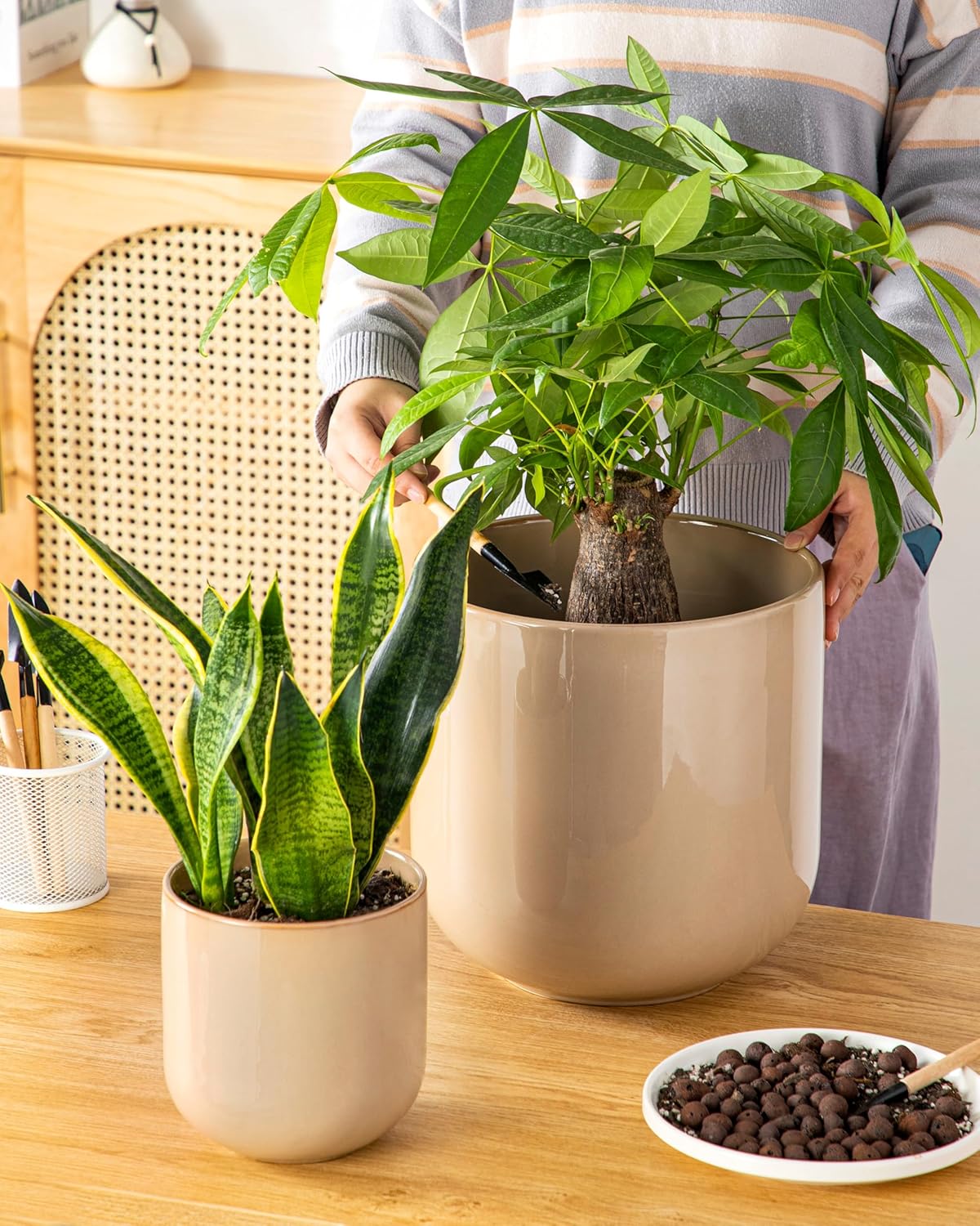 vancasso Ceramic Plant Pots, 4+5+6 inches, Set of 3, Planters with Drainage Hole, Flower Pots Planters Pots for Indoor Plants, Modern Indoor Decorative Garden Pot, Home Decor, White