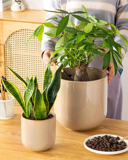vancasso Ceramic Plant Pots, 4+5+6 inches, Set of 3, Planters with Drainage Hole, Flower Pots Planters Pots for Indoor Plants, Modern Indoor Decorative Garden Pot, Home Decor, White