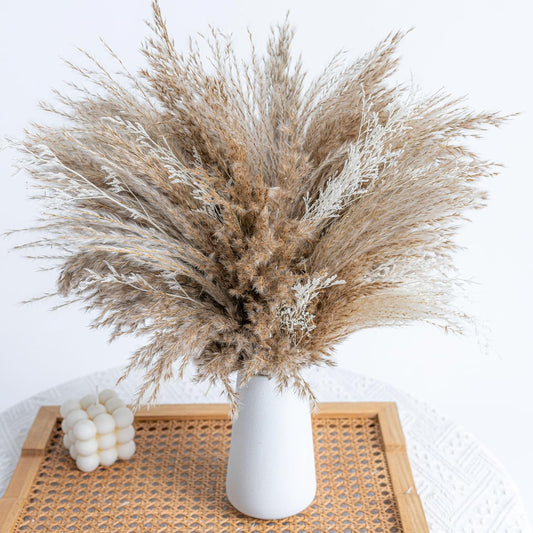 Fluffy Boho Decor Dried Grass - Dried Pampas Grass Short pompas Grass Vase Filler Dried Flowers Wedding Home Table Rustic Farmhouse Decor