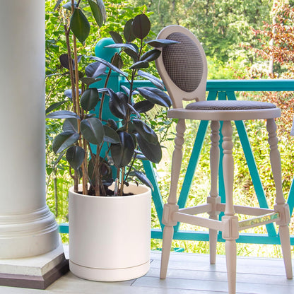 D'vine Dev Set of 2 Plants Pots, 6.5 Inch Ceramic Planter Pot for Plants with Drainage Hole and Saucer, White, 94-V-C-1