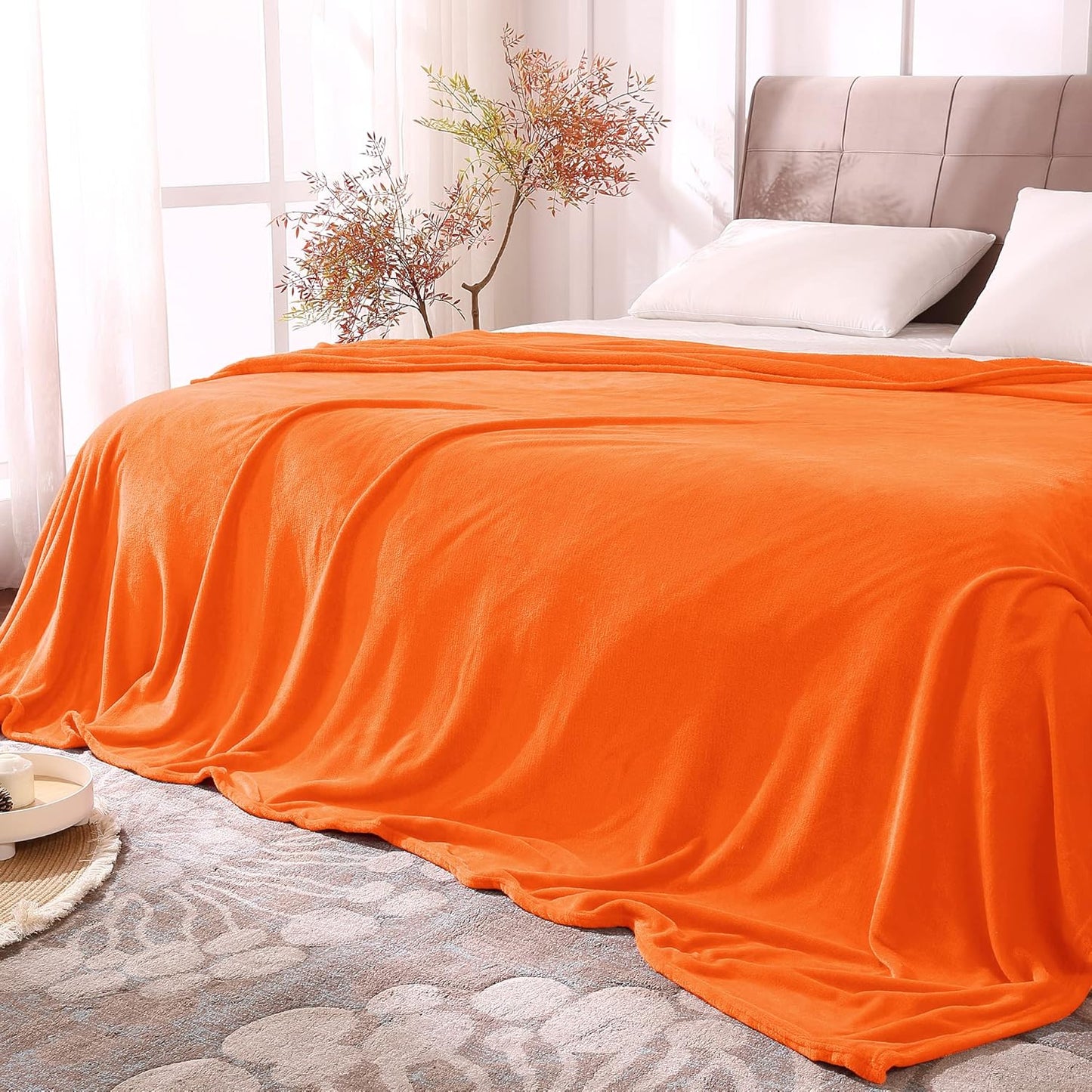 BEDELITE Fleece Blanket Black Throw Blankets for Couch & Bed, Luxury Plush Cozy Fuzzy Blanket 50x60 inches, Super Soft Warm Lightweight Throw Blanket for Travel Camping - Colors B