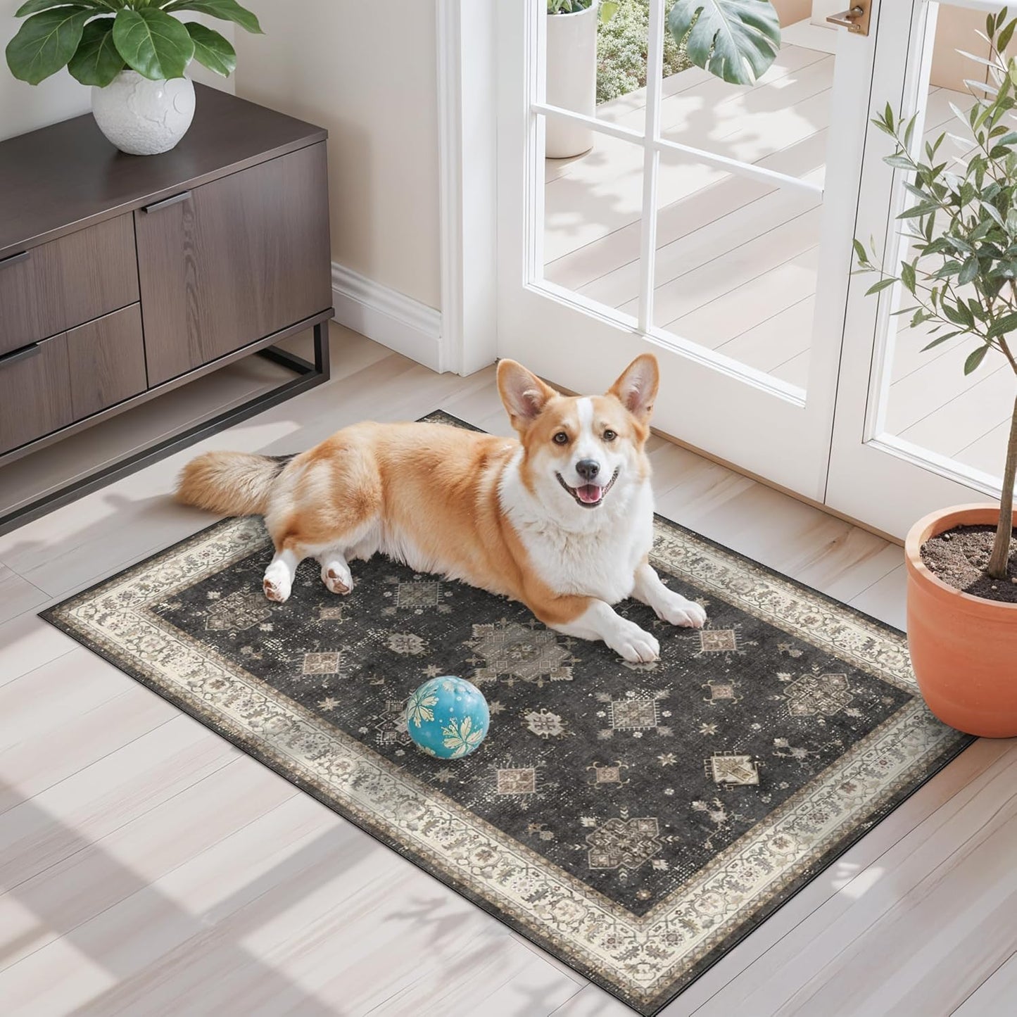 2x3 Washable Non-Slip Area Rug - Soft Low Pile Throw Rug for Kitchen Entryway Bedroom - Modern Indoor Door Mat with Rubber Backing (Beige Grey) - Colors A