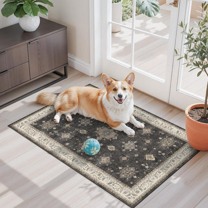 2x3 Washable Non-Slip Area Rug - Soft Low Pile Throw Rug for Kitchen Entryway Bedroom - Modern Indoor Door Mat with Rubber Backing (Beige Grey) - Colors A