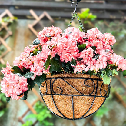 LaLaGreen Hanging Planter for Outdoor Plants (12 Inch, 2 Pack) Hanging Baskets with Coco Liner, Black Metal Wire Flower Basket Pots with Hook Hanger Balcony Porch Farmhouse Country Style Garden Decor