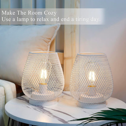 JHY DESIGN Set of 2 Metal Cage LED Lantern Battery Powered Cordless Accent Light with LED Great for Weddings Parties Patio Events for Indoors Outdoors