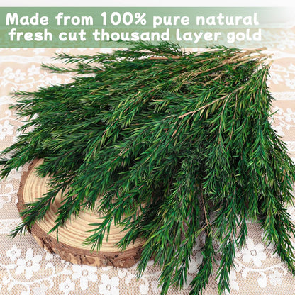 Real Eucalyptus Stems 20PCS Dried Preserved Fresh Eucalyptus Silver Dollar Leaves for Shower - Greenery Branches for Wedding Home Party Vase Filler Spring Decor