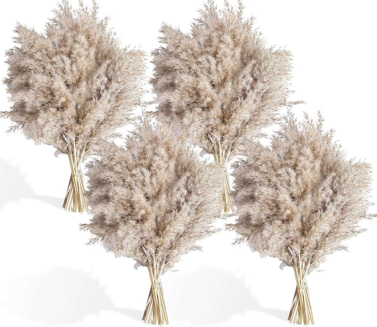 Pampas Grass Decor, Natural Dry Pampas Grass Small, Short Pampass Bulk for Farmhouse, Wall, Kitchen, Bedroom Decor, Office Decor (17 inch )