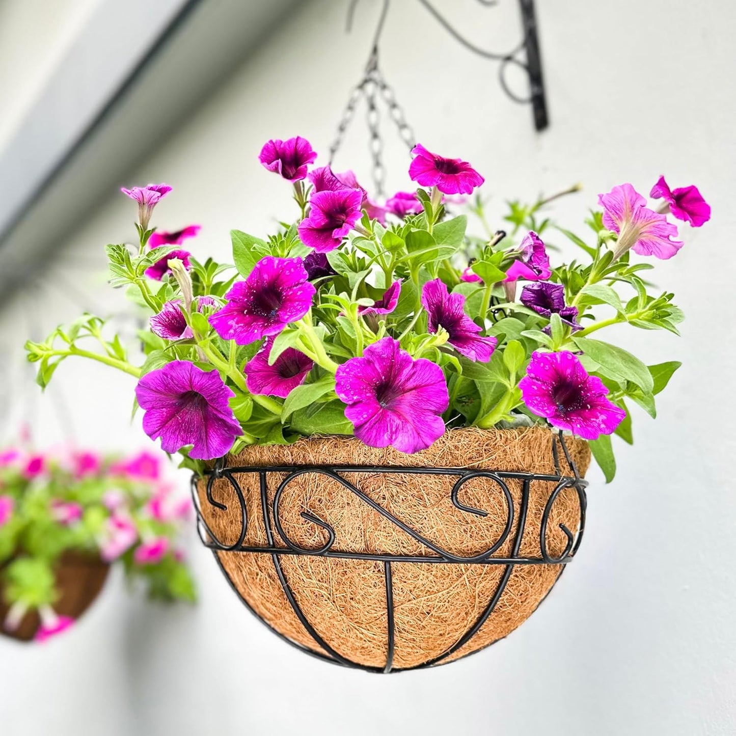LaLaGreen Hanging Planter for Outdoor Plants (12 Inch, 2 Pack) Hanging Baskets with Coco Liner, Black Metal Wire Flower Basket Pots with Hook Hanger Balcony Porch Farmhouse Country Style Garden Decor