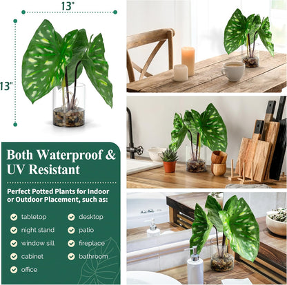 SUNPRAIRIE Realistic Faux Plant in Clear Pot with Artificial Water, Narrow Arrowhead Leaves. Artificial Plants Indoor and Outdoor