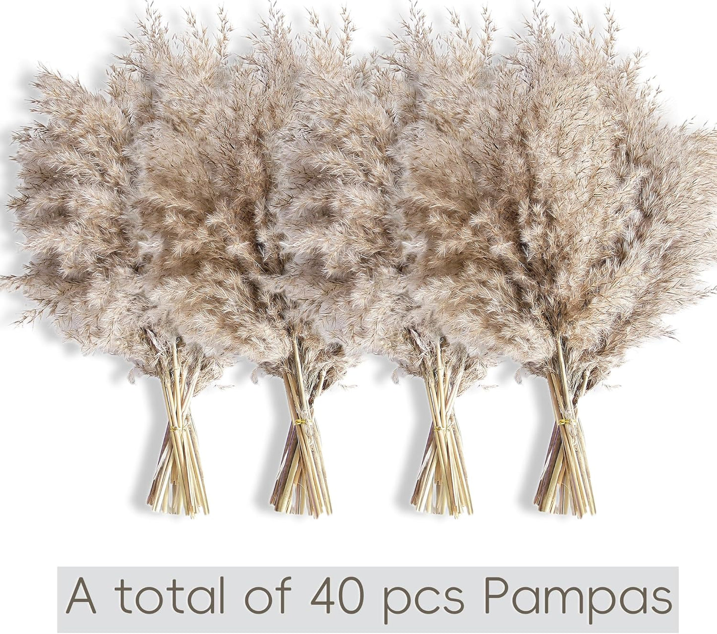 Pampas Grass Decor, Natural Dry Pampas Grass Small, Short Pampass Bulk for Farmhouse, Wall, Kitchen, Bedroom Decor, Office Decor (17 inch )