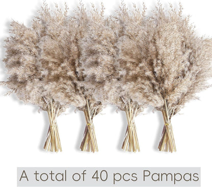Pampas Grass Decor, Natural Dry Pampas Grass Small, Short Pampass Bulk for Farmhouse, Wall, Kitchen, Bedroom Decor, Office Decor (17 inch )