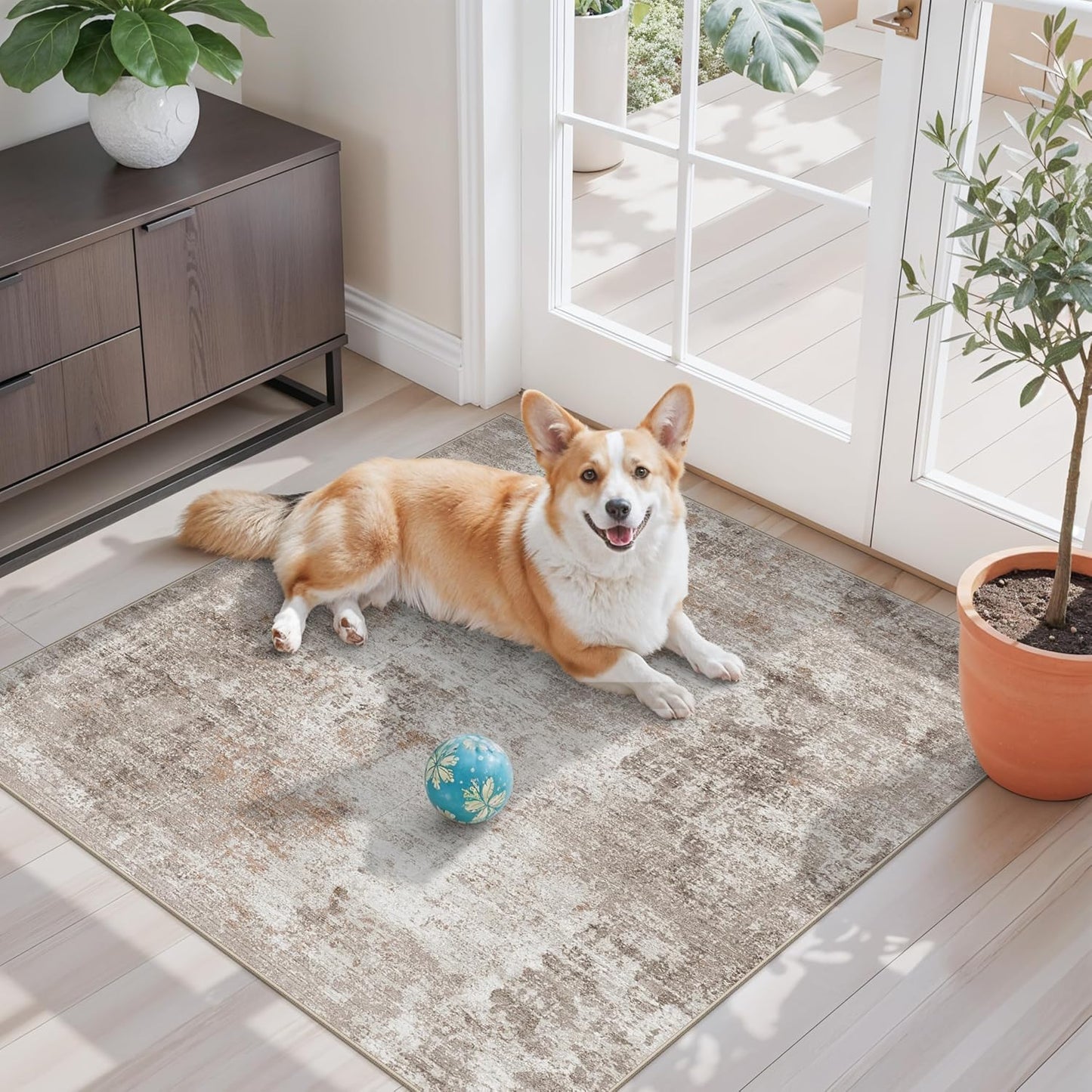 2x3 Washable Non-Slip Area Rug - Soft Low Pile Throw Rug for Kitchen Entryway Bedroom - Modern Indoor Door Mat with Rubber Backing (Beige Grey) - Colors A