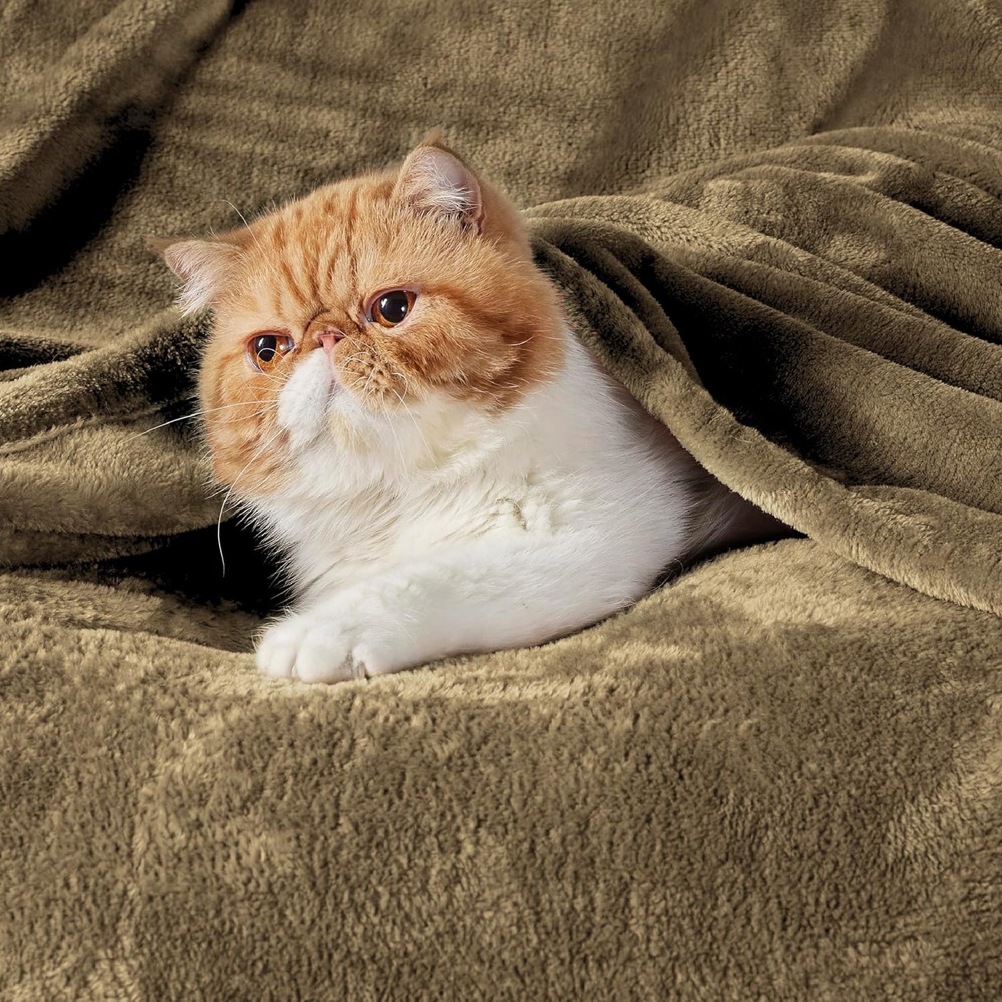 Bedsure GentleSoft Fleece Throw Blanket for Couch Grey - Lightweight Plush Fuzzy Cozy Soft Blankets and Throws for Sofa, Couch, Travel, Camping, 50x60 inches - Colors B
