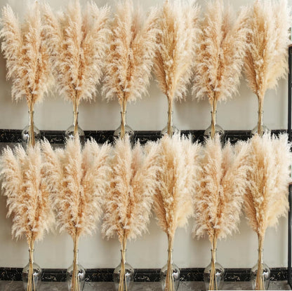 40" inch 10 Stems Natural Pampas Grass Decor Tall, pompas Grass, Tall Pampas Grass for Wedding, Party, Farmhouse, Boho Home Decor