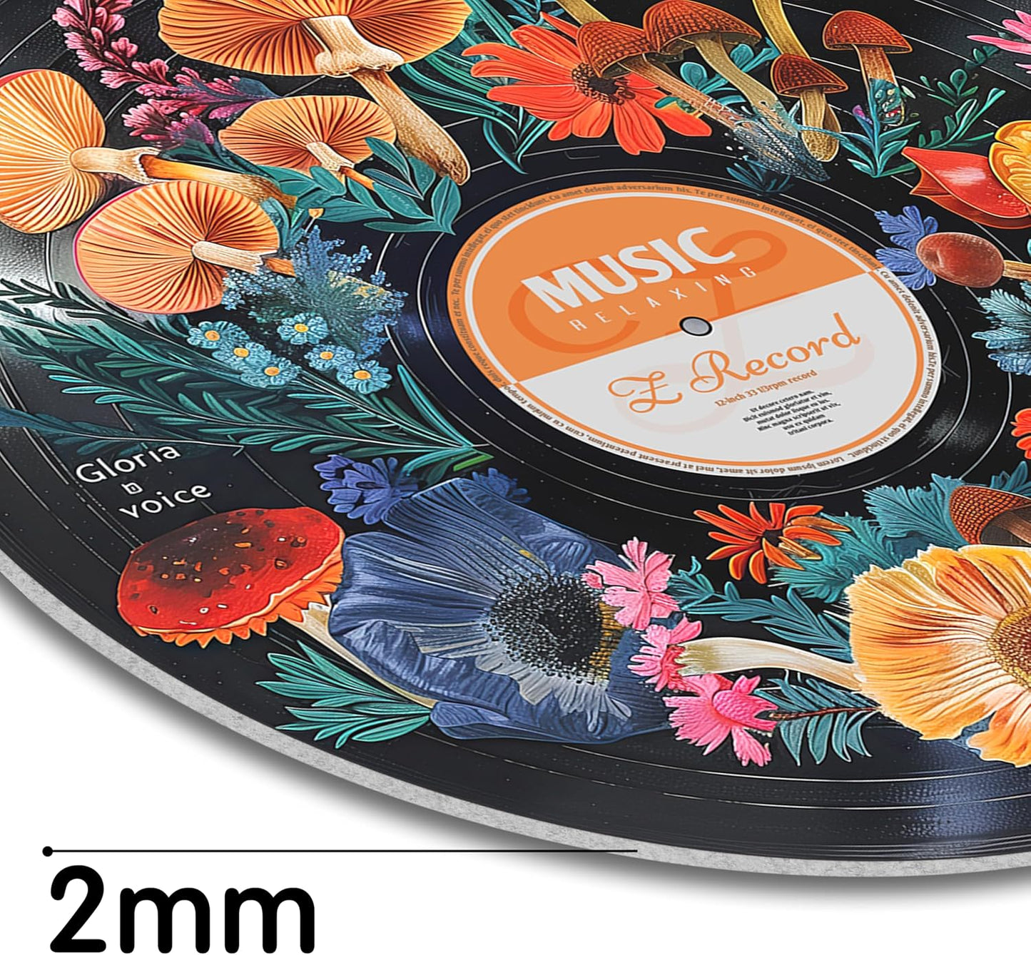 HK Studio Hippie Decor, Posters for Room Aesthetic - Botanical Wall Art, Record Decor, 4pcs 12"
