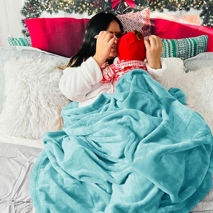 Bedsure GentleSoft Fleece Throw Blanket for Couch Grey - Lightweight Plush Fuzzy Cozy Soft Blankets and Throws for Sofa, Couch, Travel, Camping, 50x60 inches - Colors A
