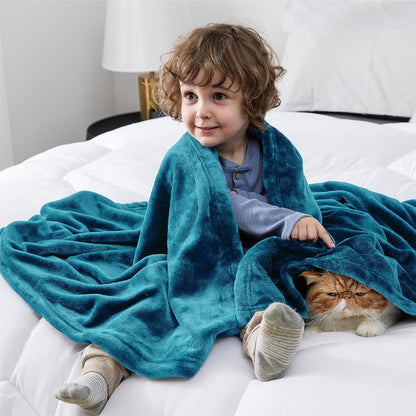 Bedsure GentleSoft Fleece Throw Blanket for Couch Grey - Lightweight Plush Fuzzy Cozy Soft Blankets and Throws for Sofa, Couch, Travel, Camping, 50x60 inches - Colors A