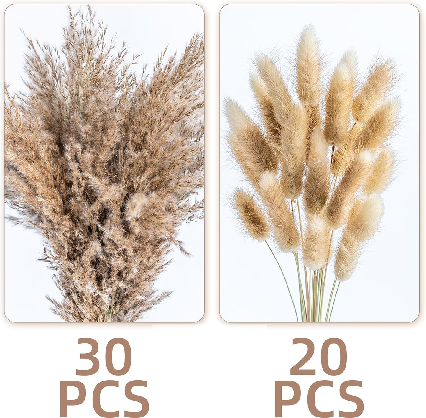 Fluffy Boho Decor Dried Grass - Dried Pampas Grass Short pompas Grass Vase Filler Dried Flowers Wedding Home Table Rustic Farmhouse Decor