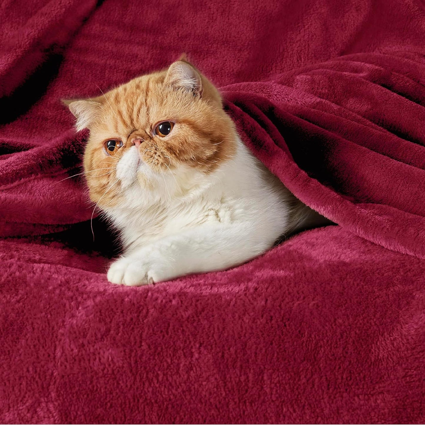 Bedsure GentleSoft Fleece Throw Blanket for Couch Grey - Lightweight Plush Fuzzy Cozy Soft Blankets and Throws for Sofa, Couch, Travel, Camping, 50x60 inches - Colors B