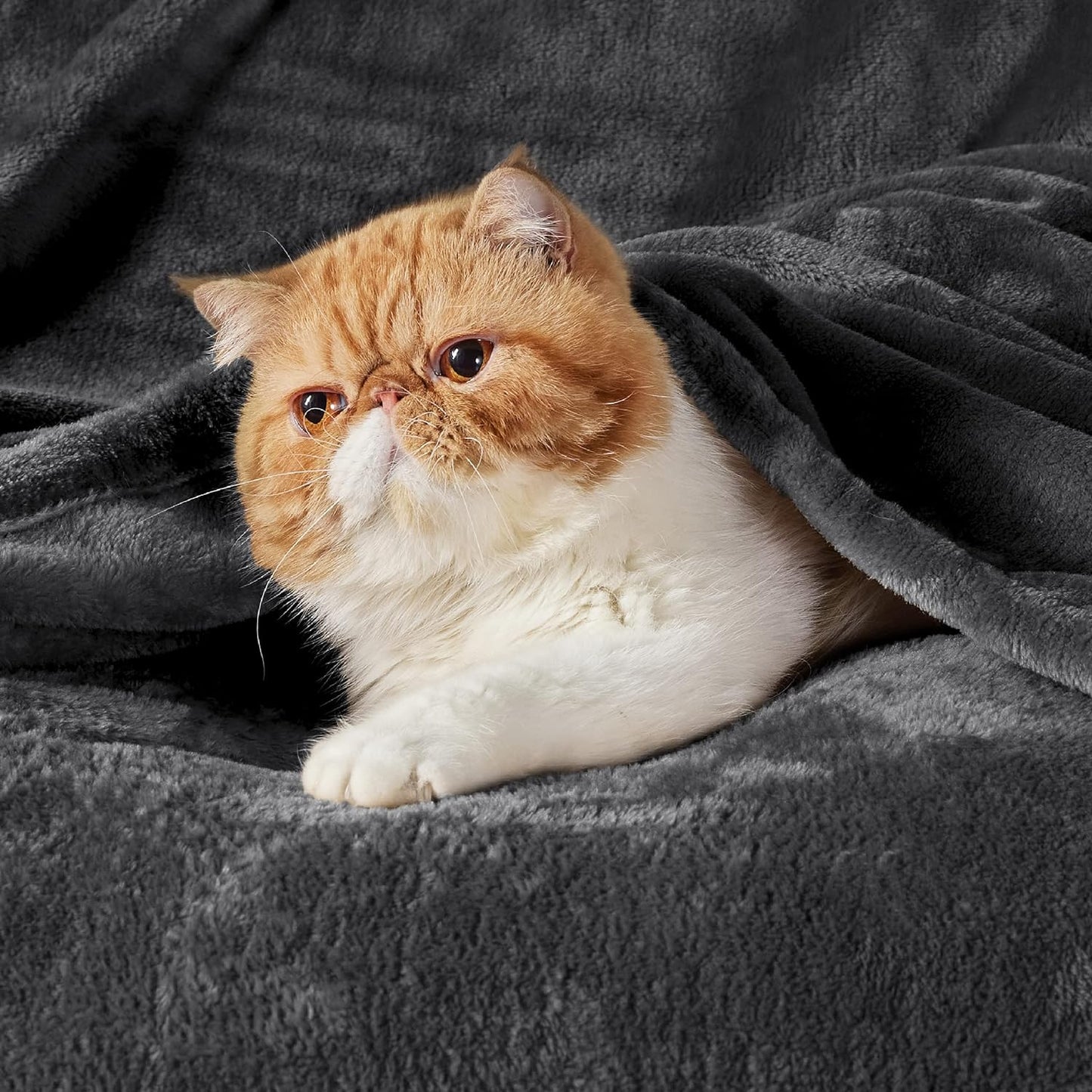 Bedsure GentleSoft Fleece Throw Blanket for Couch Grey - Lightweight Plush Fuzzy Cozy Soft Blankets and Throws for Sofa, Couch, Travel, Camping, 50x60 inches - Colors A