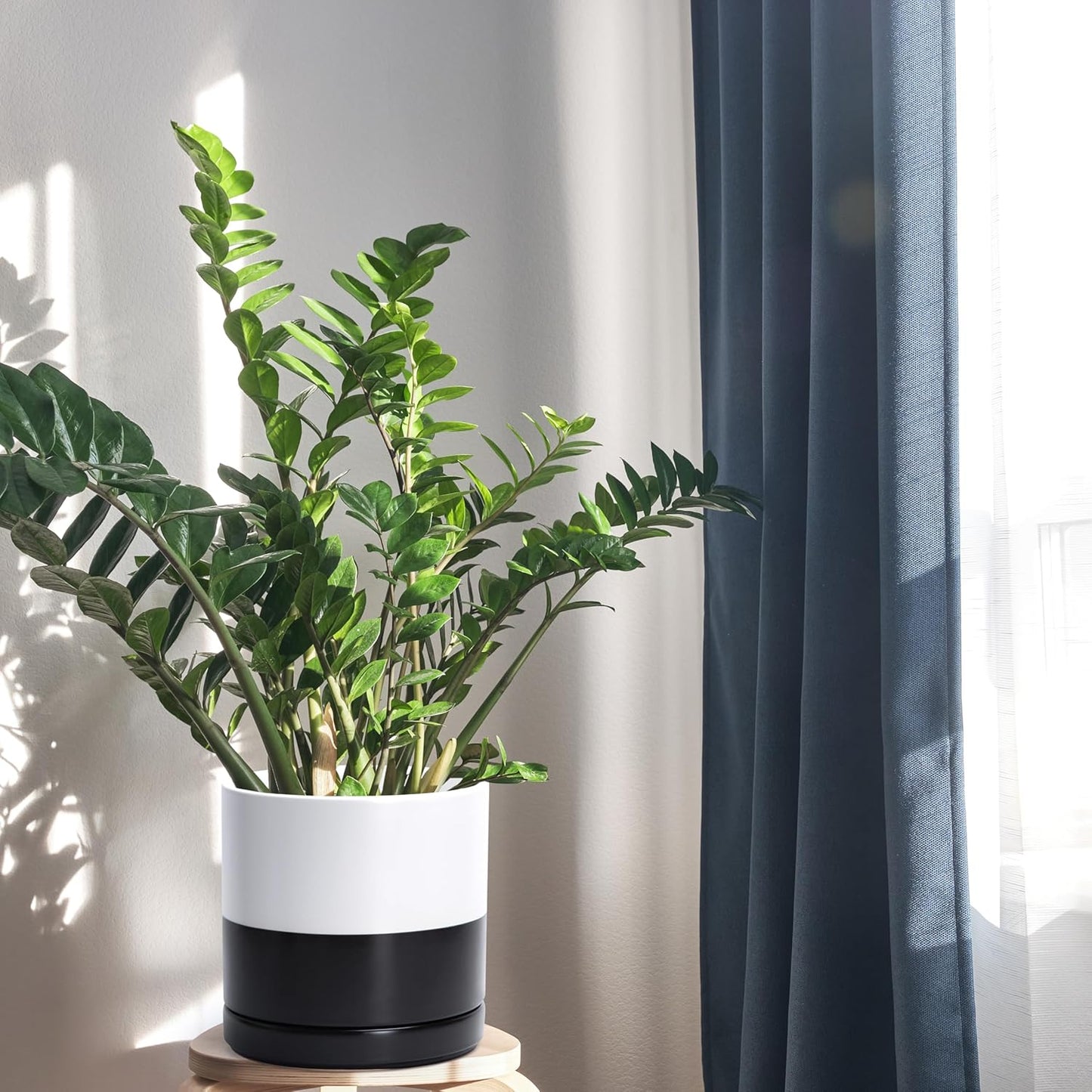 D'vine Dev 6.5 Inch Ceramic Planter Pot with Drainage Hole and Saucer, Indoor Cylinder Round Planter Pot, Olive, 94-O-C-J
