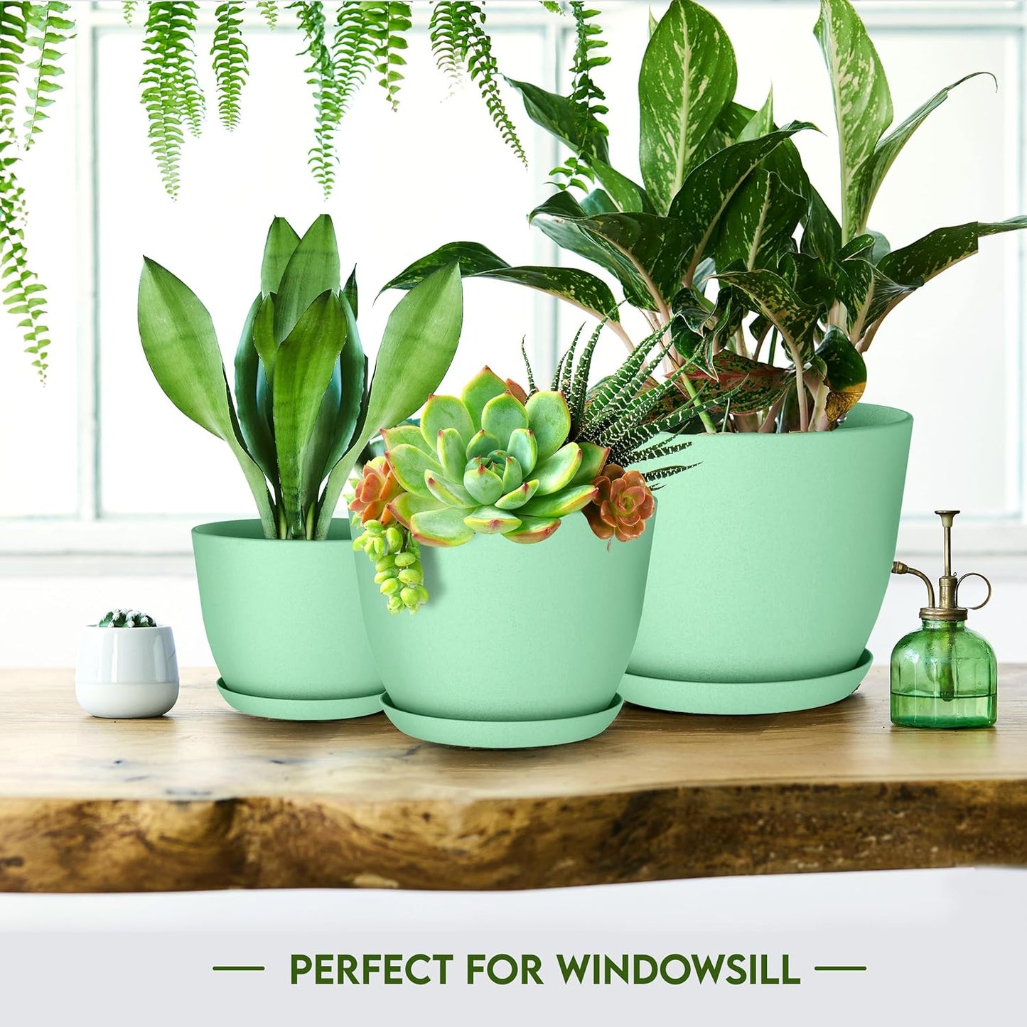 Utopia Home Plant Pots Indoor with Drainage Holes – Set of 5 White Plastic Flower Pots (7/6.6/6/5.3/4.8 Inch) – Modern Planters for Indoor Plants, Room & Office Décor, Great Stocking Stuffers
