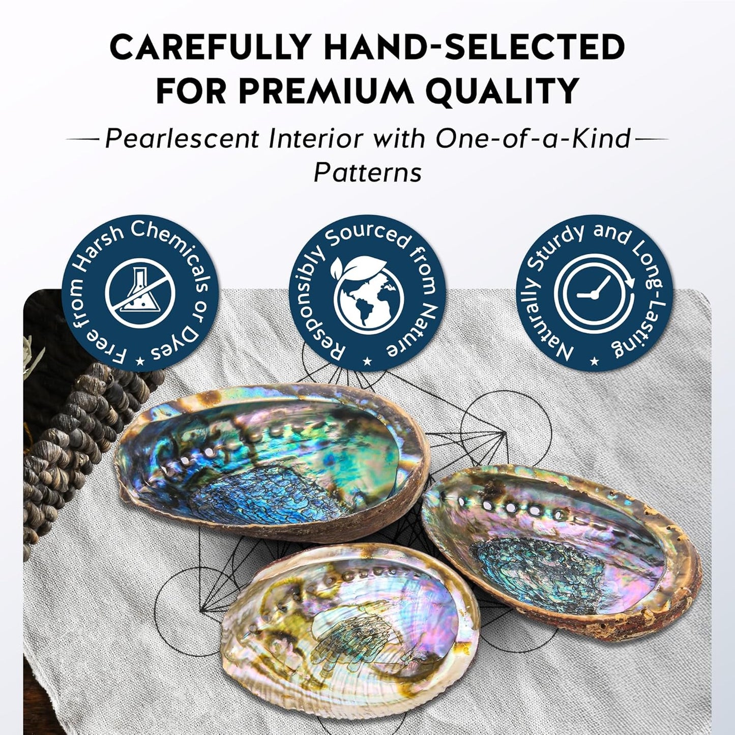 Alternative Imagination Hand Selected Abalone Shell - 6 Inches or Larger - Polished Mother-of-Pearl Interior - Flame-Proof Dish for Incense, Smudge Sticks, Trinkets, Crystal Display & Home Decor
