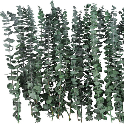 10 Pcs Dried Eucalyptus Stems 17" Real Eucalyptus for Shower Hanging 100% Made from Fresh Leaves, Wedding, Home, Farmhouse, DIY Spring Decor Bathroom Decor Home Decor