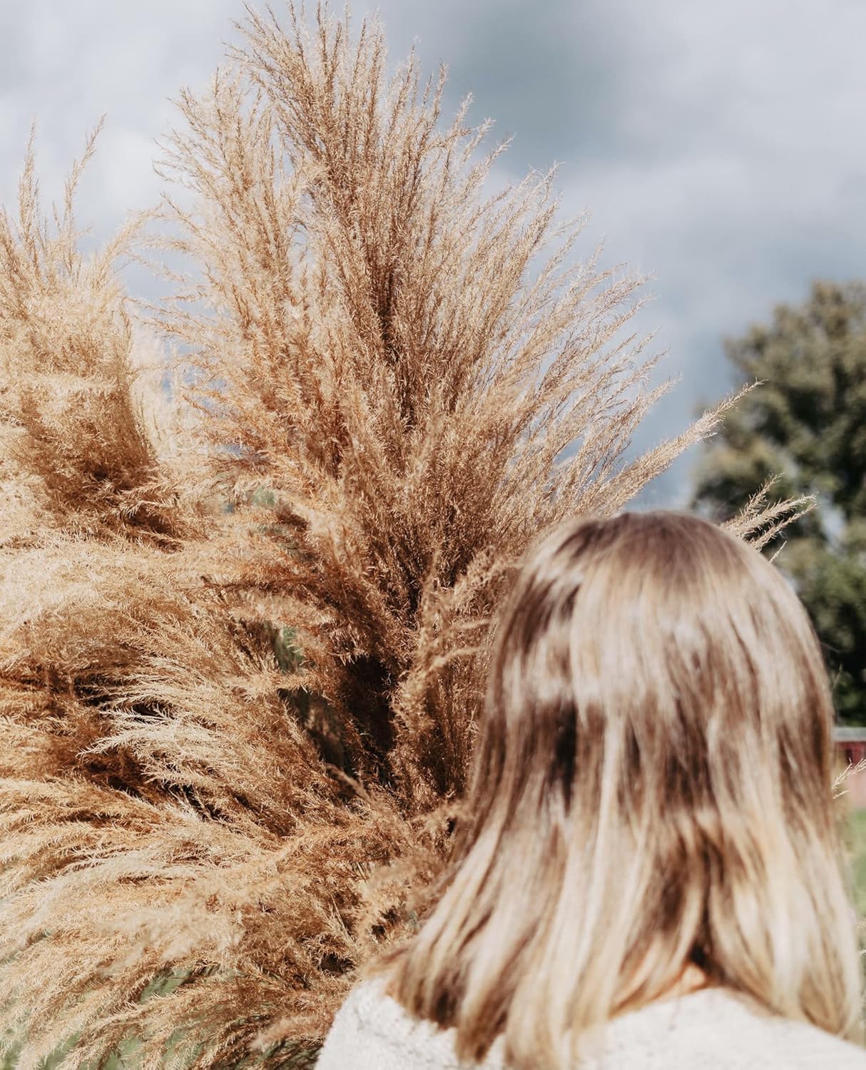 46" inch 10 Stems Natural Pampas Grass Decor Tall, Pompas Grass, Tall Pampas Grass for Weddingm, Farmhouse, Boho Home Decor (Beige)