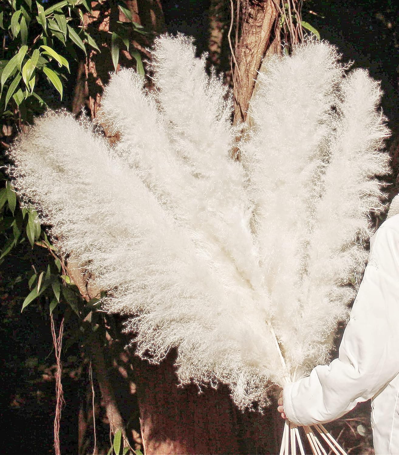 46" inch 10 Stems Natural Pampas Grass Decor Tall, Pompas Grass, Tall Pampas Grass for Weddingm, Farmhouse, Boho Home Decor (Beige)
