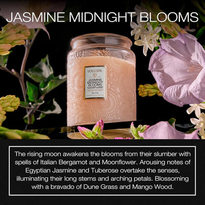 Voluspa Baltic Amber Candle, 18 oz, Coconut Wax Blend, Scented Candles for Home, 100 Hour Burn Time, Candle Jar