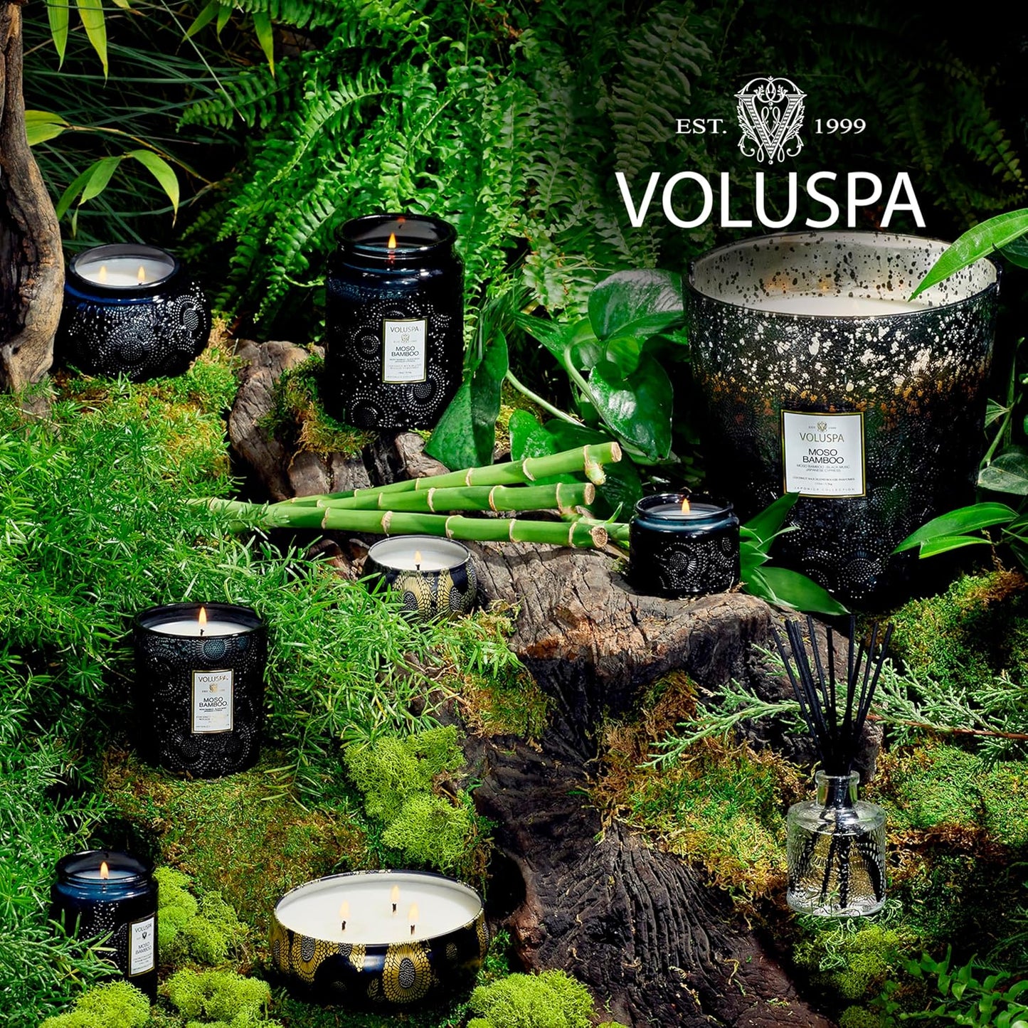 Voluspa Baltic Amber Candle, 18 oz, Coconut Wax Blend, Scented Candles for Home, 100 Hour Burn Time, Candle Jar