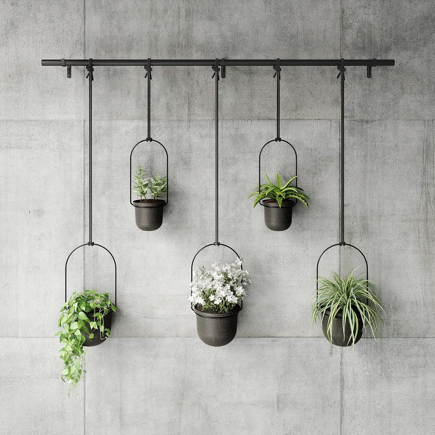 Umbra Triflora Hanging Planter for Window, Indoor Herb Garden, Set of 3, White/Black